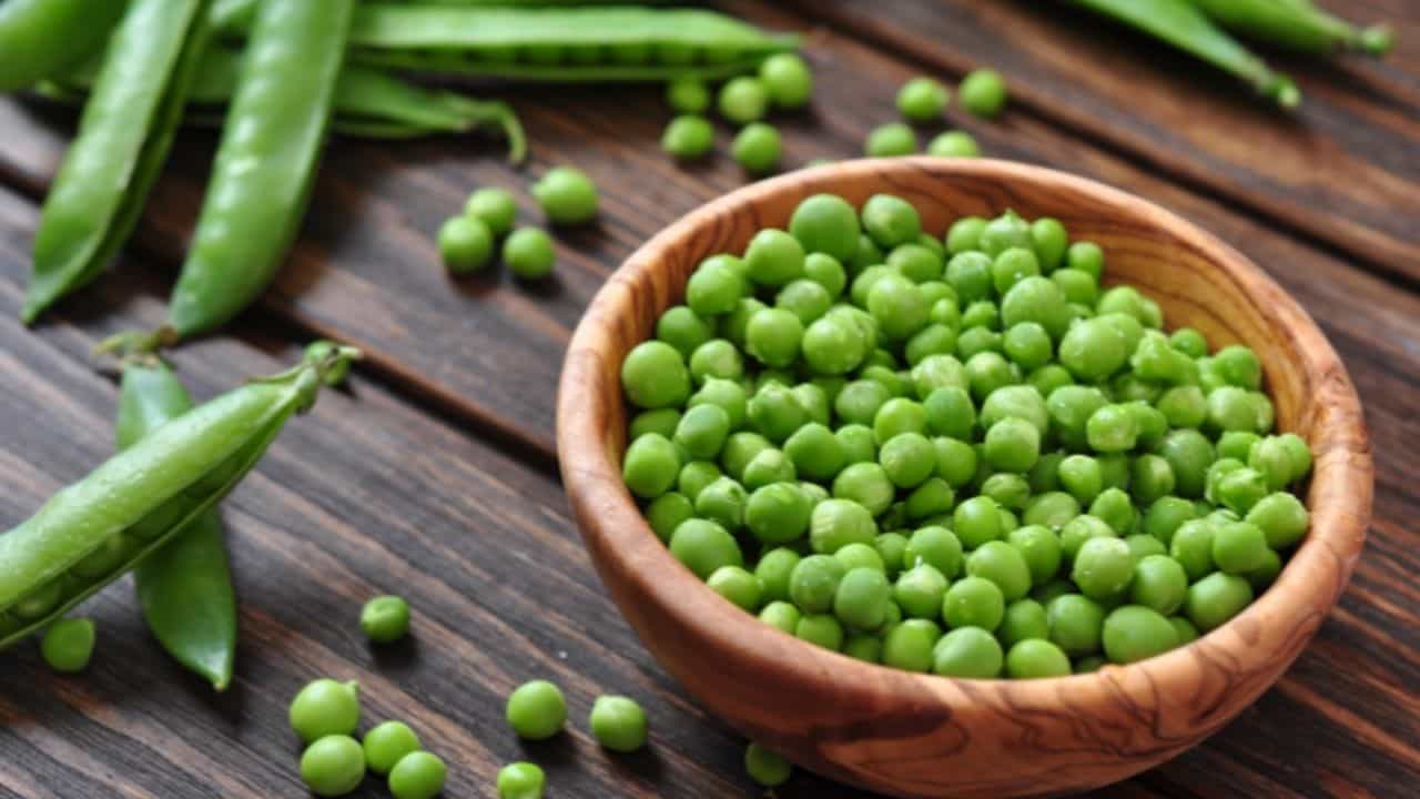 Health Benefits: শীতকালে কড়াইশুঁটির কচুরি মাস্ট! কড়াইশুঁটির রয়েছে হাজারো পুষ্টিগুণ, জানেন?