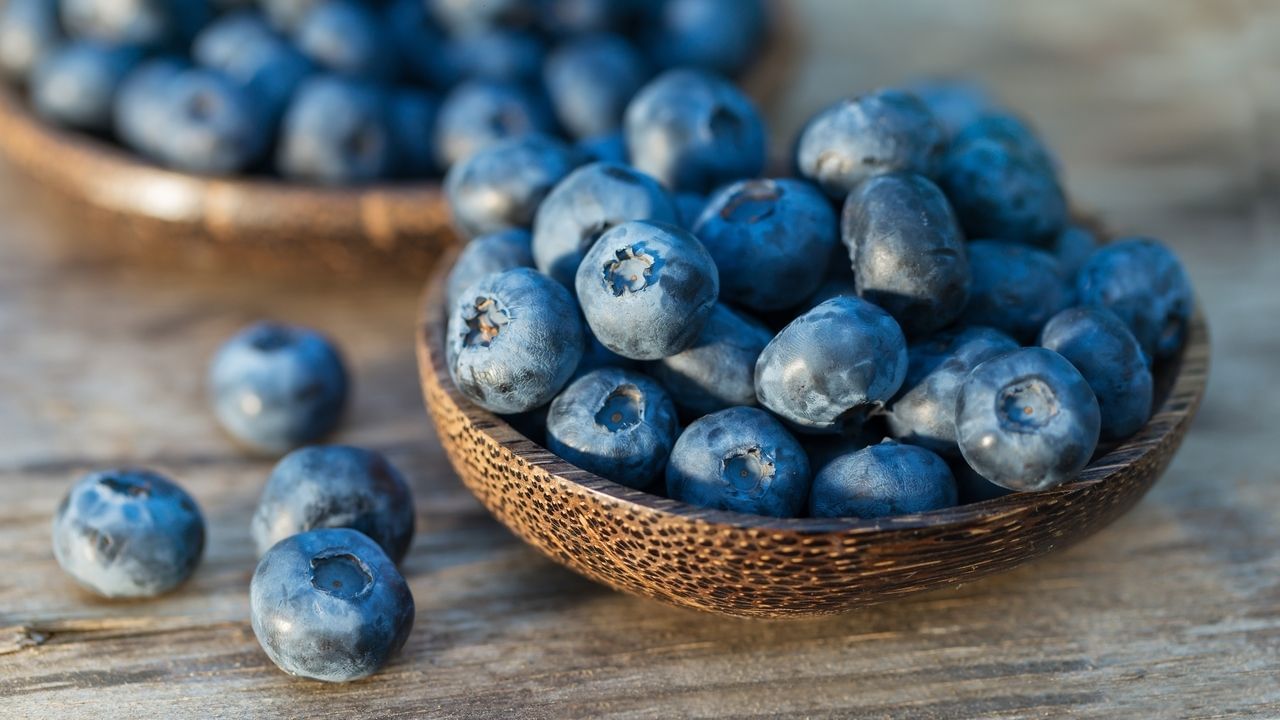 Blueberries: প্রতিদিন ব্লুবেরি খেলে নিয়ন্ত্রণে থাকতে পারে রক্তে শর্করার মাত্রা! নতুন তথ্য প্রকাশ গবেষণায়