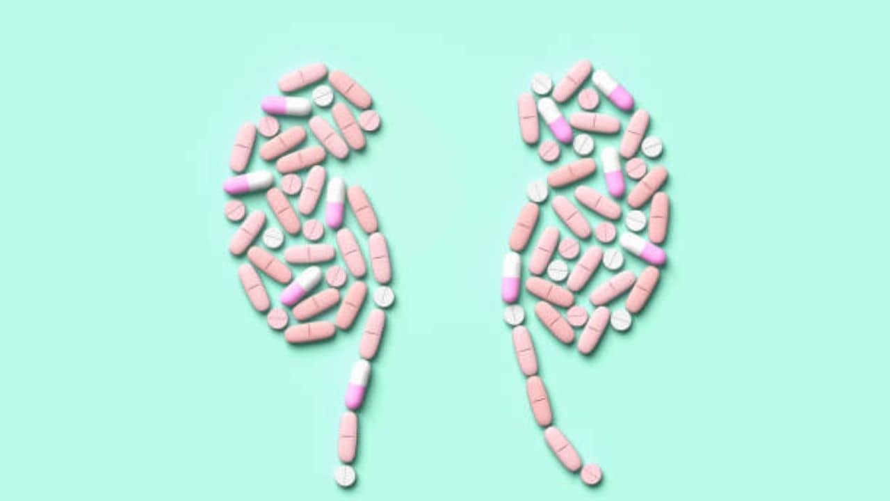 Kidney Health: কিডনির স্বাস্থ্য নিয়ে চিন্তিত? খাদ্যের বিষয়ে যত্ন নিন এবং এড়িয়ে চলুন এই ৫টি জিনিস