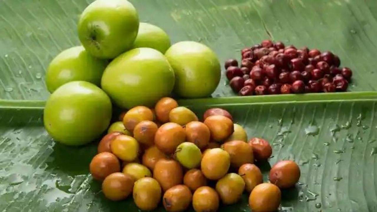 Indian Jujube: সরস্বতী পুজোর আগেই কুল খেয়ে ফেলেছেন? স্বাস্থ্যের জন্য কতটা উপকারী, জানুন