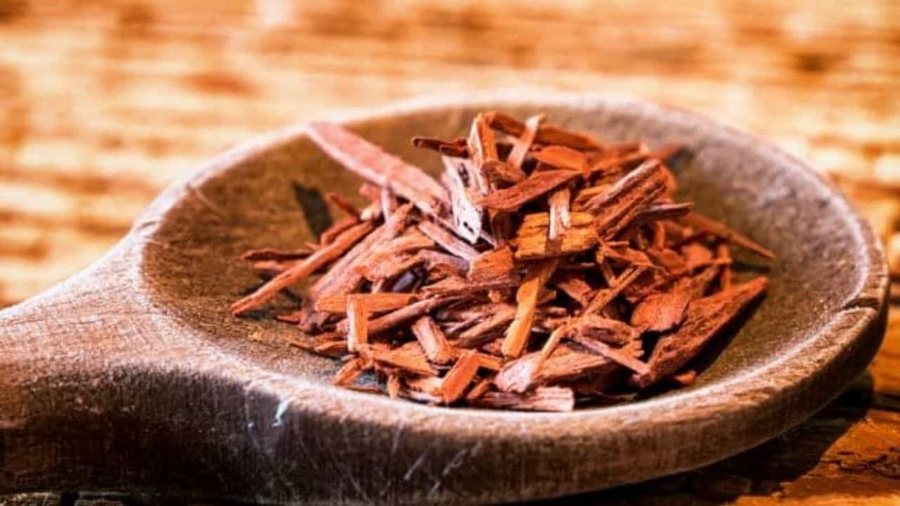 Laal Chandan: লাল চন্দনের ব্যবহার জীবনে সুখ আনতে সাহায্য করে, জানতেন?