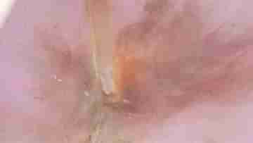 Murshidabad Bombing: মুর্শিদাবাদে তৃণমূল নেতার বাড়িতে মধ্যরাতে বোমাবাজি, কাঠগড়ায় দলীয় নেতাই