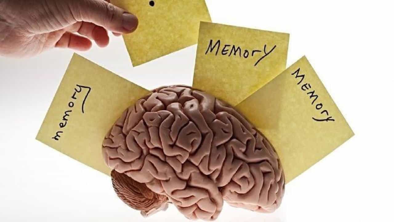 Forgetting Is A Form Of Learning: ভুলে যাওয়া ভুল নয়, আসলে তা শেখারই অঙ্গ, দাবি বিজ্ঞানীদের
