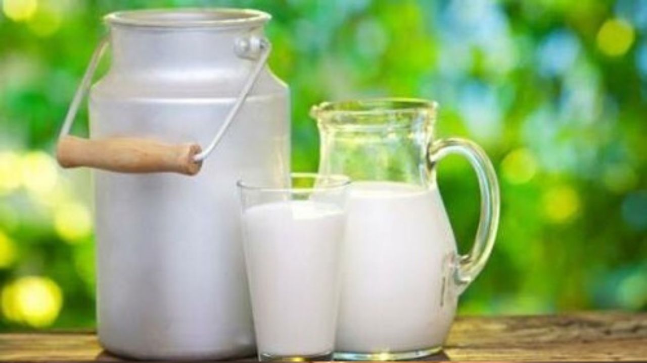 Myths around milk: দুধ খেলেই হজমে সমস্যা! দুধের পুষ্টিগুণ নিয়ে রয়েছে নানান ভুল ধারণা, সত্যিটা কী?