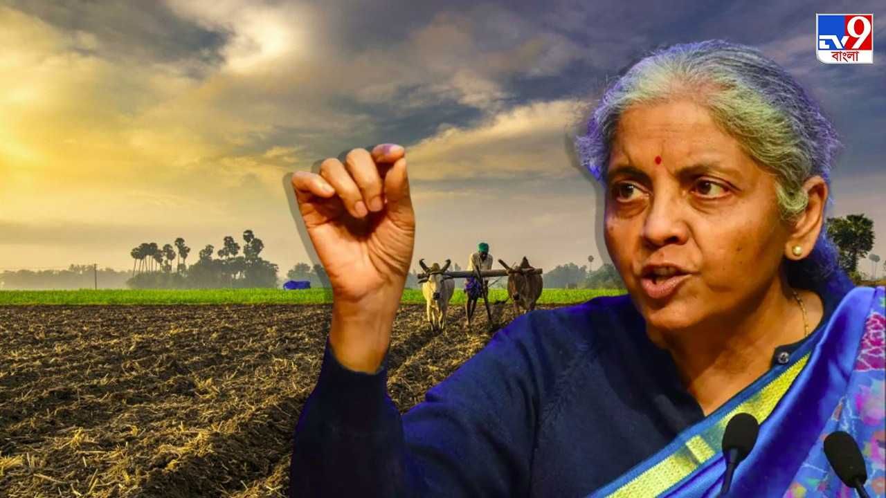 Union Budget 2020 : ভোটের আবহে বাজেটে চমক, কৃষকদের মান ভাঙাতে বড় পদক্ষেপ করতে পারে কেন্দ্র