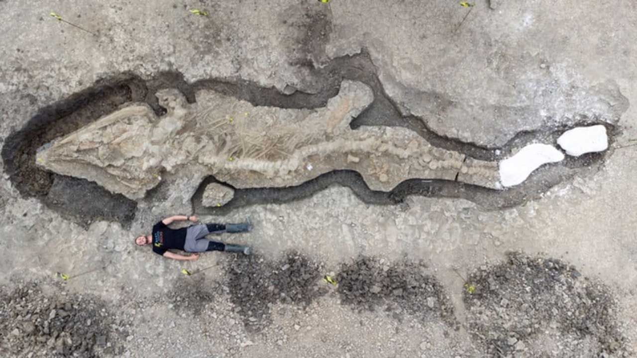 Sea Dragon Fossil: দৈত্যাকার 'সি ড্রাগন'- এর জীবাশ্ম উদ্ধার যুক্তরাজ্যে! দৈর্ঘ্যে প্রায় ১০ মিটার এই Ichthyosaurs