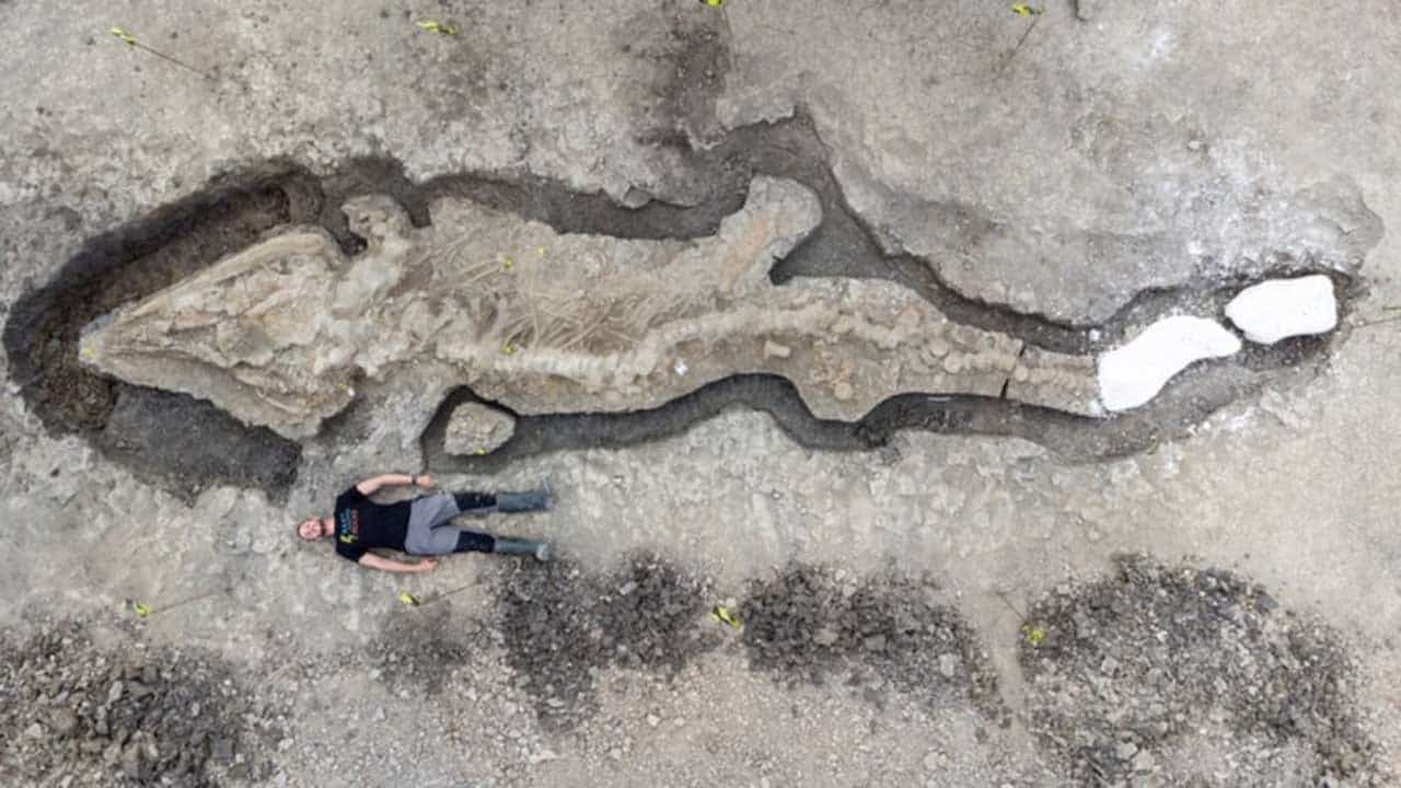 Sea Dragon Fossil: দৈত্যাকার 'সি ড্রাগন'- এর জীবাশ্ম উদ্ধার যুক্তরাজ্যে! দৈর্ঘ্যে প্রায় ১০ মিটার এই Ichthyosaurs Sea Dragon Fossil: দৈত্যাকার 'সি ড্রাগন'- এর জীবাশ্ম উদ্ধার যুক্তরাজ্যে! দৈর্ঘ্যে প্রায় ১০ মিটার এই Ichthyosaurs