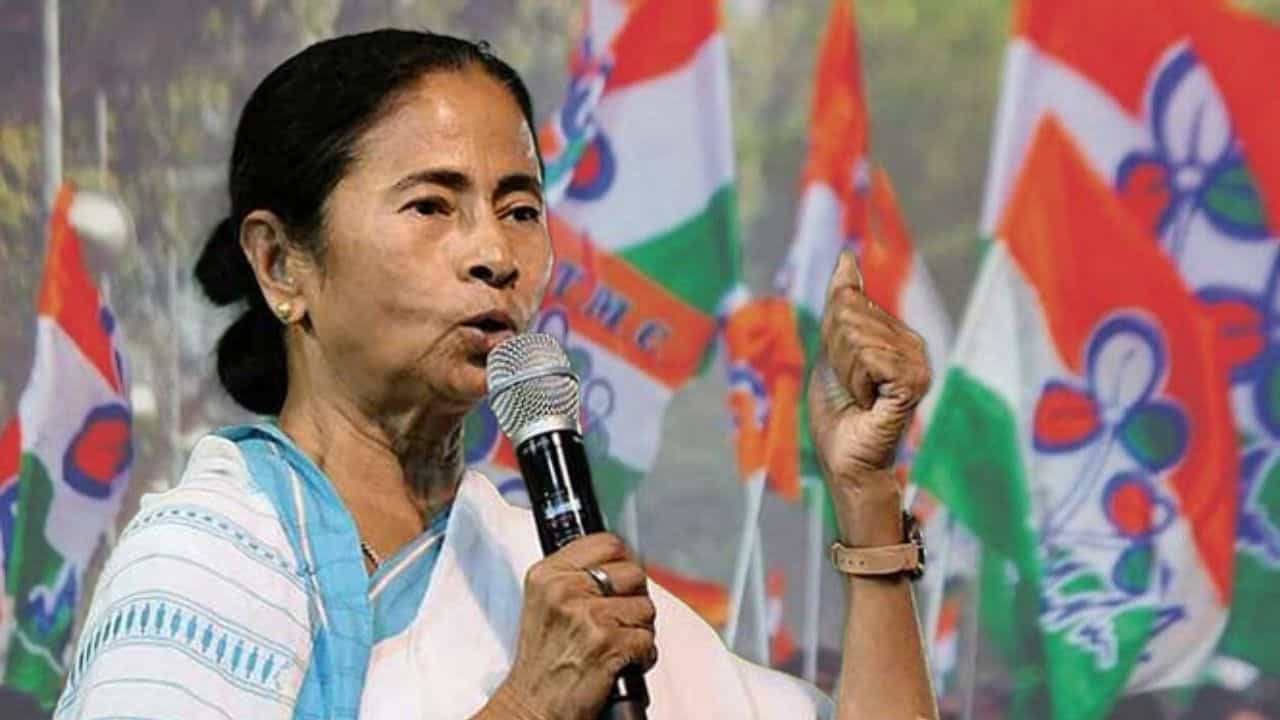Organizational Election of TMC: ২ ফেব্রুয়ারি তৃণমূলের সাংগঠনিক নির্বাচন, রিটার্নিং অফিসারের ভূমিকায় পার্থ