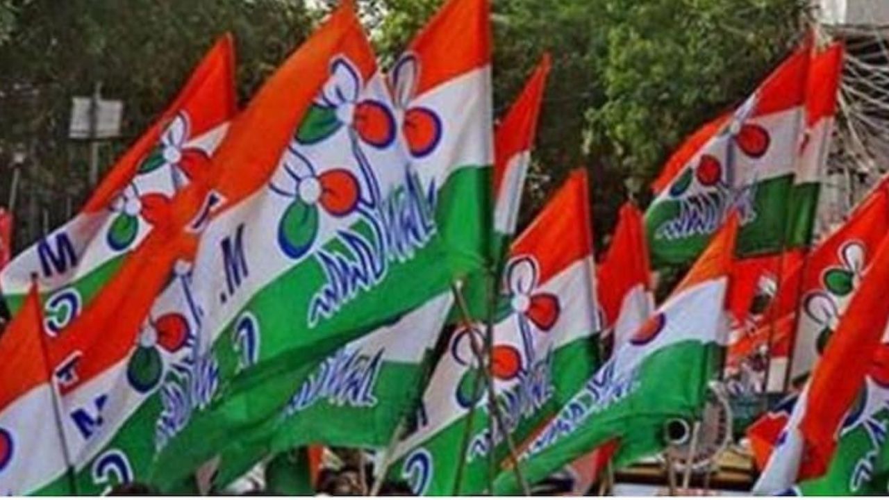 Goa Assembly Election: গোয়ায় প্রচারে বাধা দেওয়ার অভিযোগ, কমিশনে নালিশ জানাতে যাচ্ছে তৃণমূলের প্রতিনিধি দল