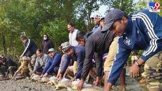 Baruipur: বিপজ্জনক ব্যবহার রান্নার গ্যাসের! গোপন সূত্রে খবর পেয়ে হানা তদন্তকারীদের, গ্রেফতার ১