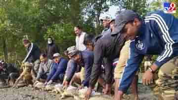 Batagur Baska : বিরল প্রজাতির কচ্ছপ সংরক্ষণ, স্যাটালাইট ট্যাগিংয়ের জন্য জিপিএস চিপ লাগিয়ে ছাড়া হল নদীতে