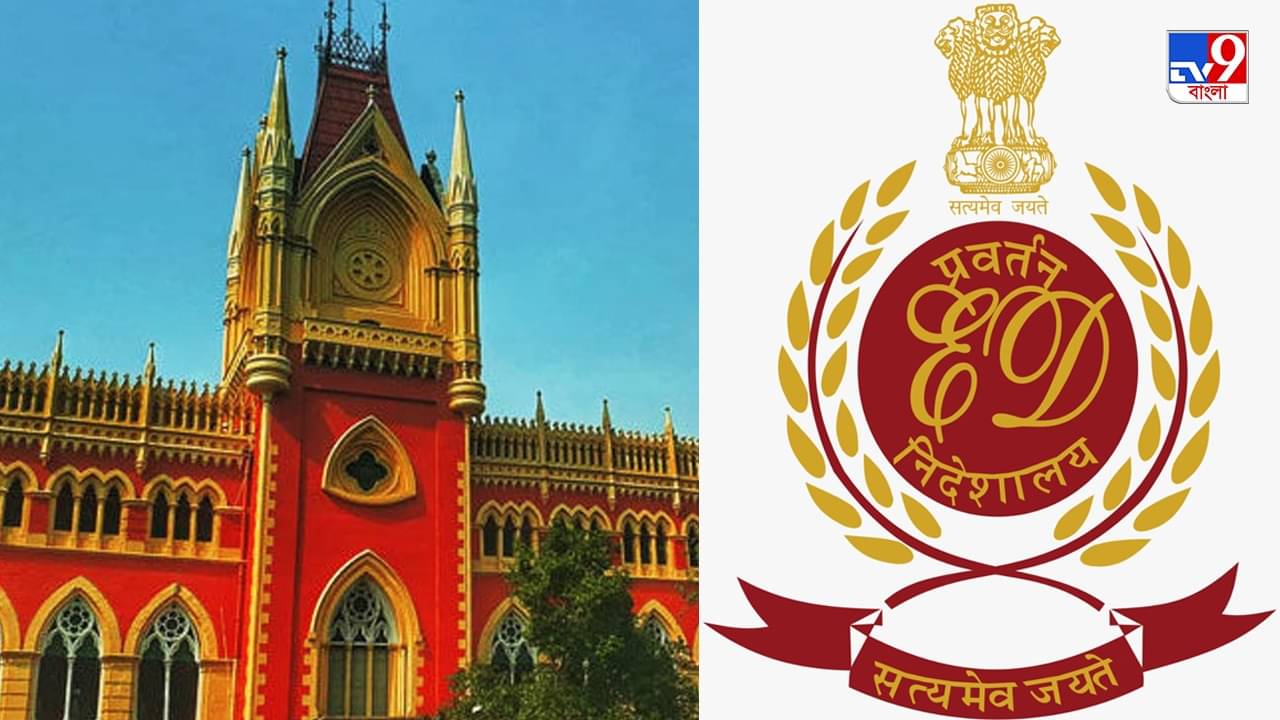 Coal Scam: ইডি কি এতই অযোগ্য..., কয়লাকাণ্ডে হাইকোর্টের ভর্ৎসনার মুখে কেন্দ্রীয় তদন্তকারী সংস্থা