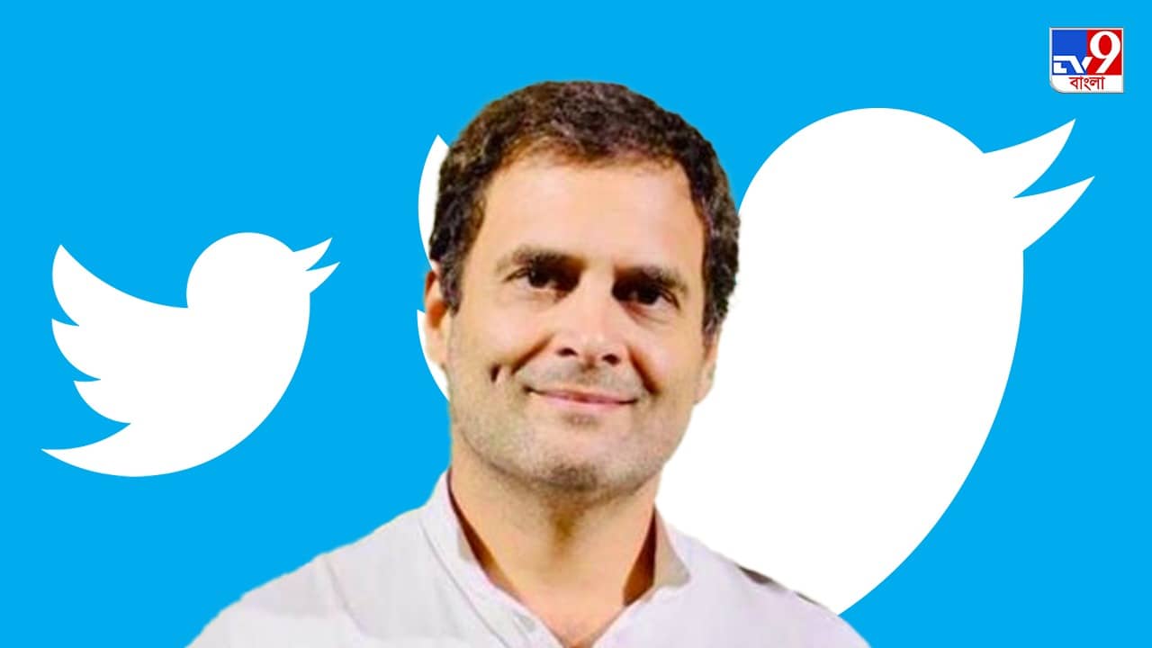 Reactions on Rahul Gandhis Twitter Row : জনগণ ভোট না দিলে এরপর পাপ্পু নির্বাচন কমিশনকে দায়ী করবেন  টুইটার বিতর্কে রাহুলকে খোঁচা নাগরিকদের