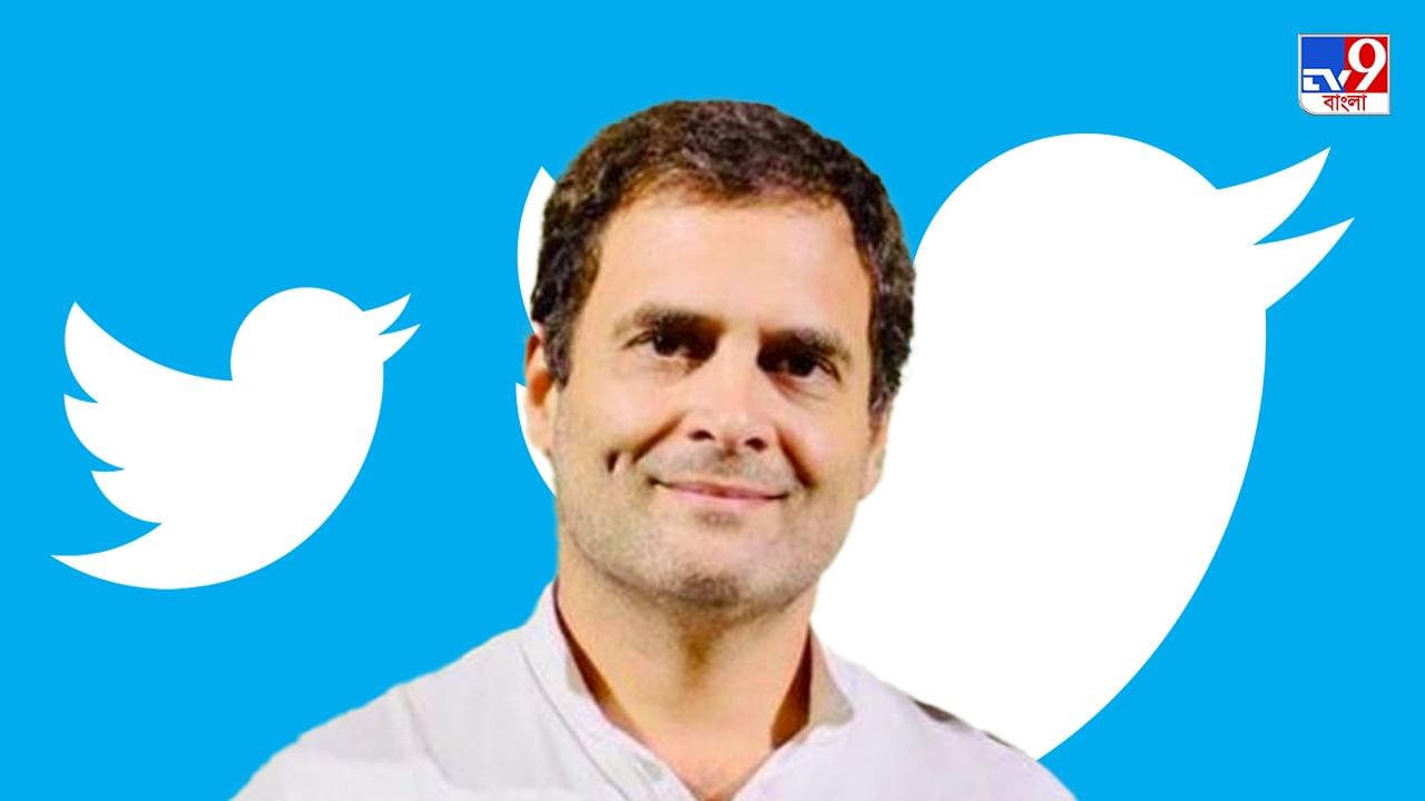Reactions on Rahul Gandhi's Twitter Row : জনগণ ভোট না দিলে এরপর পাপ্পু নির্বাচন কমিশনকে দায়ী করবেন  টুইটার বিতর্কে রাহুলকে খোঁচা নাগরিকদের