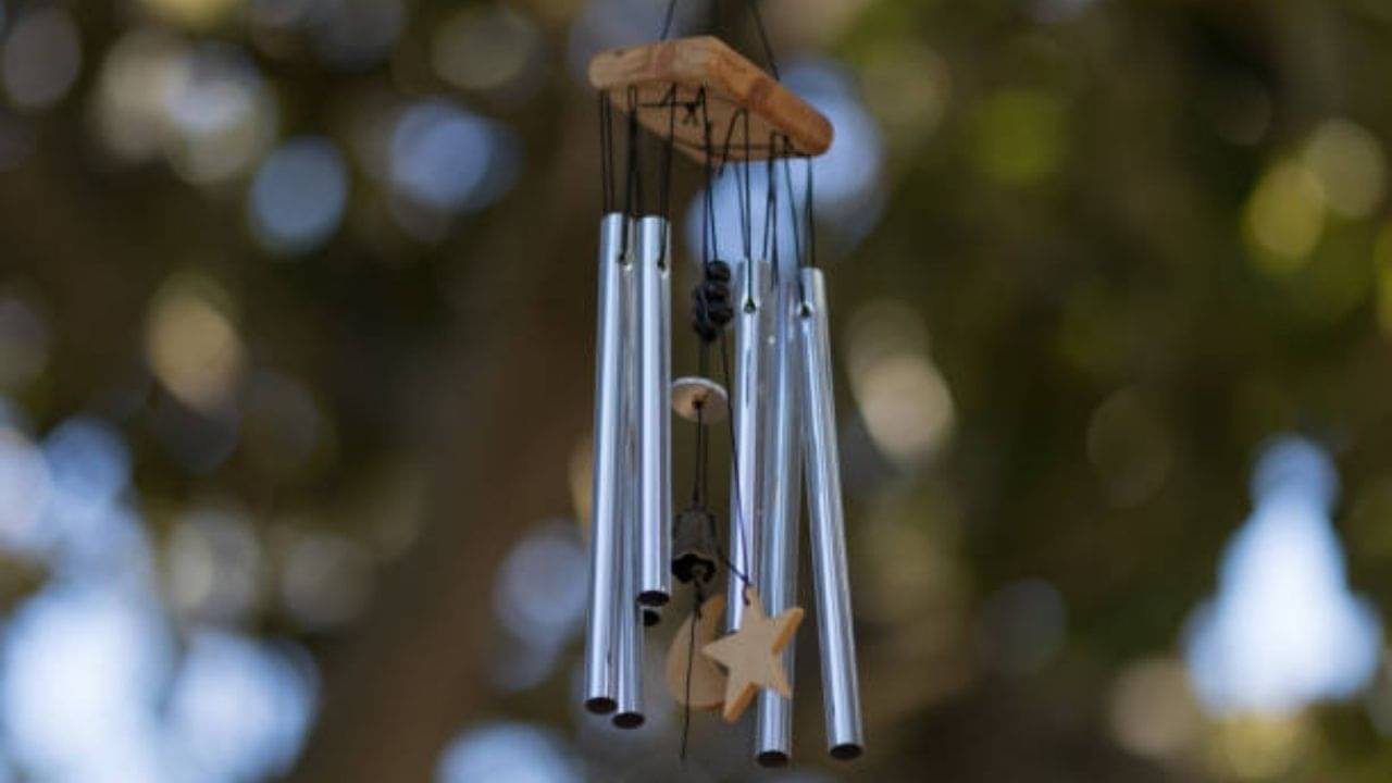 Wind Chimes: উইন্ড চামের টুং-টাং শব্দে জীবনে আসবে সমৃদ্ধি! এটি বাড়ির কোন কোণায় রাখবেন জেনে নিন