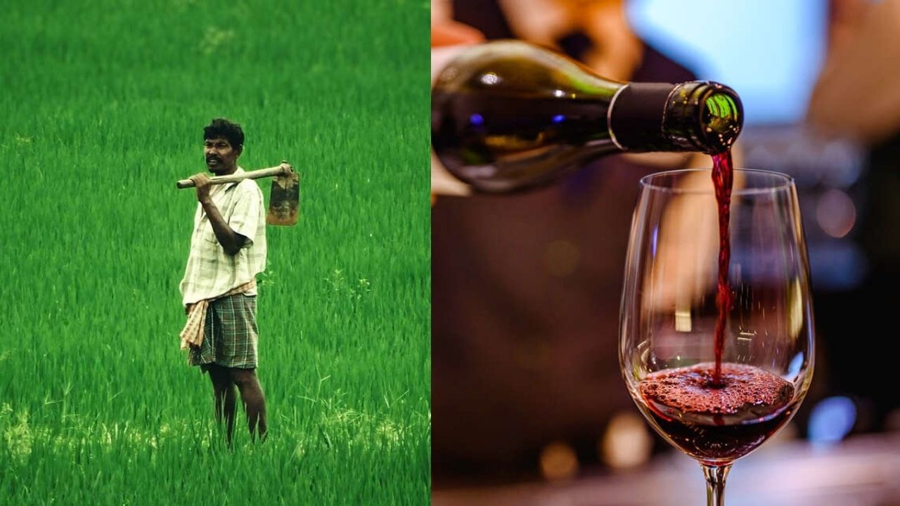 Sanjay Raut on Wine: 'ওয়াইন মদ নয়, কৃষকদের আয় দ্বিগুণ হবে', আজব দাবি শিবসেনা নেতার