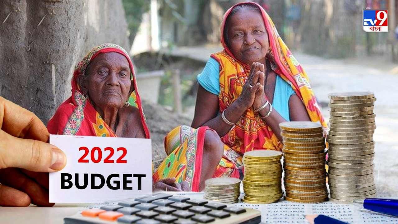 Budget 2022 : ফোকাসে মেনস্ট্রুয়াল হাইজিন! মহিলারা কী আশা করতে পারেন কেন্দ্রীয় বাজেট থেকে?