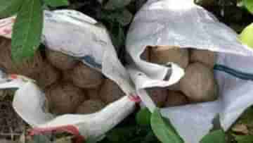 Bomb recovered in Kaliachalk: বাড়ির কাছেই পড়েছিল নাইলনের ব্যাগ, খতিয়ে দেখতেই চোখ কপালে ওঠার জোগাড়! ফের অশান্ত কালিয়াচক