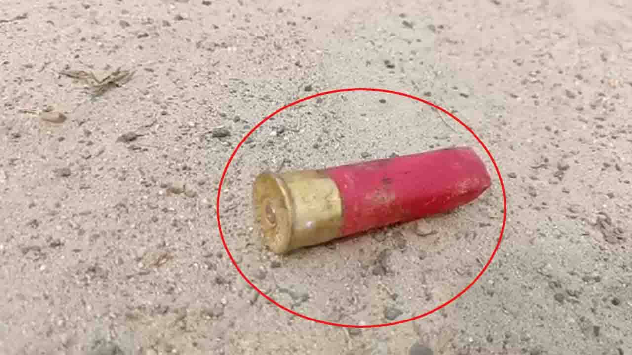 TMC Clash: ভর দুপুরে চলল বোমা-গুলি, তৃণমূলের গোষ্ঠীসংঘর্ষে গুলিবিদ্ধ ৩