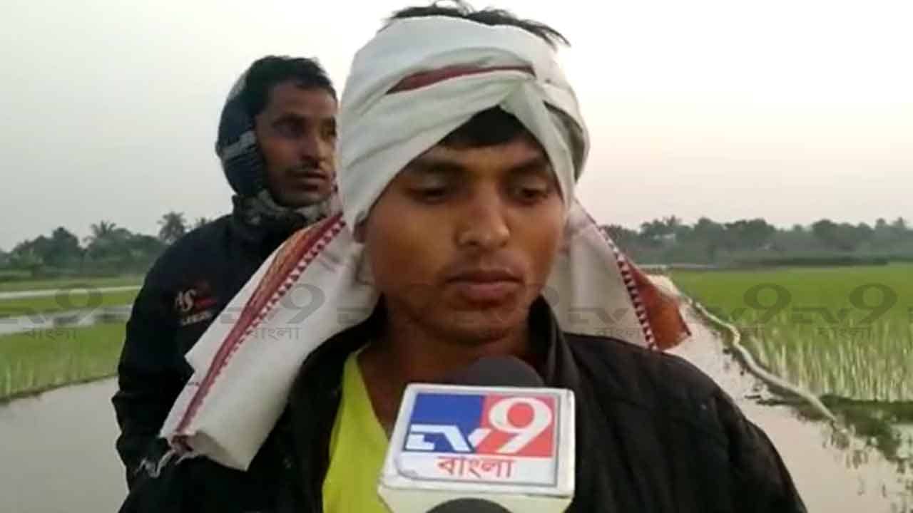 Canning: বিছানায় চাপ চাপ রক্ত, হাত ফুলে বালিশের মতো হয়ে গিয়েছে! নিছক সন্দেহের বশে নৃশংস মার