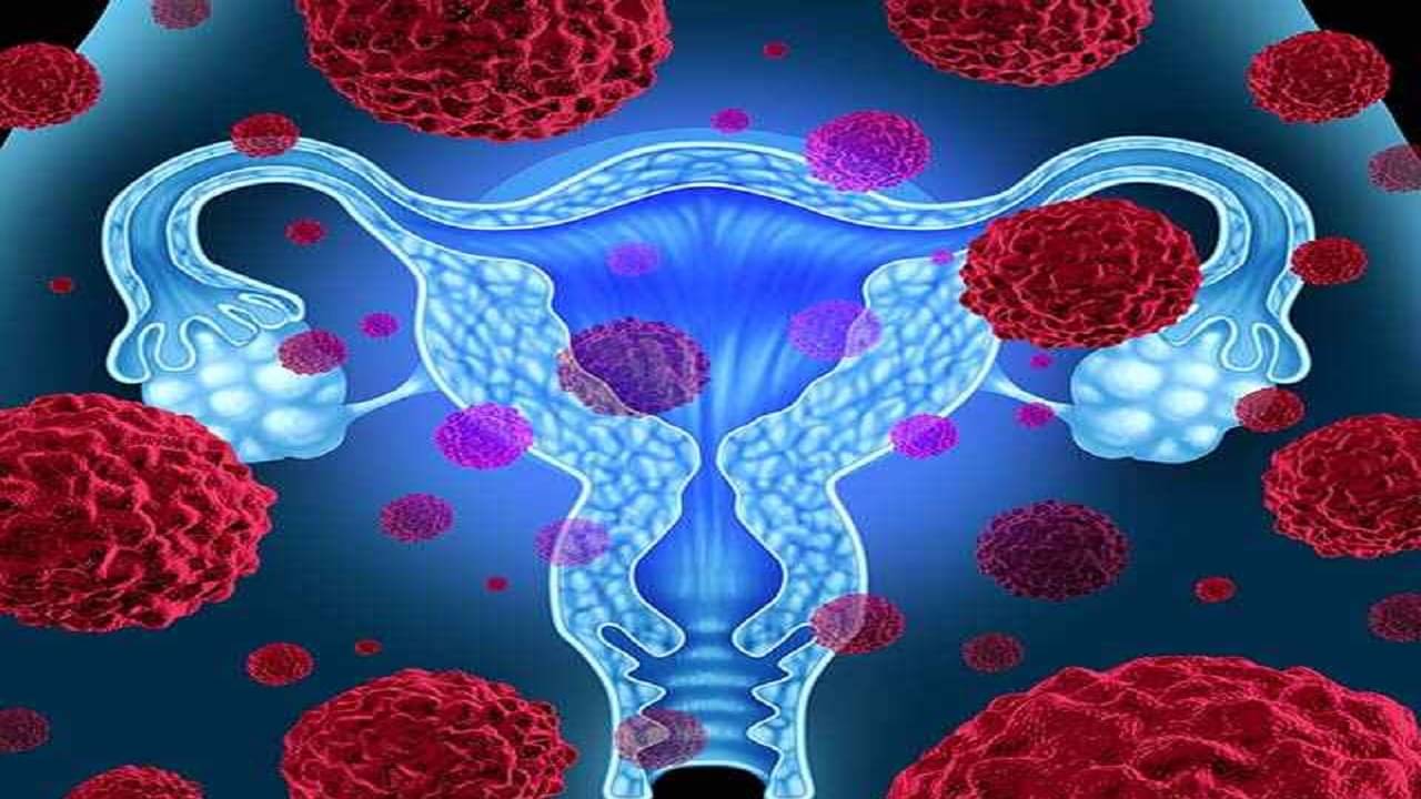 Cervical cancer: জরায়ুমুখ ক্যানসার রুখতে সামান্য এই কয়েকটি সচেতনতা অবশ্যই মেনে চলুন রোজকার জীবনে...
