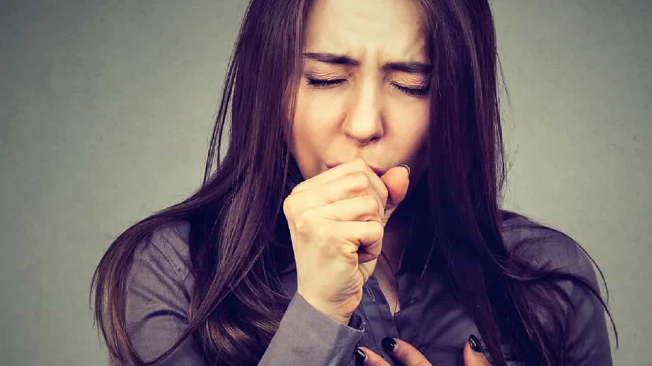 Sore throat: গলা ব্যথা, কাশির সমস্যায় ভুগছেন? এই কয়েকটি আর্য়ুবেদিক টিপস মেনে চললে দ্রুত আরাম পাবেন! Sore throat: গলা ব্যথা, কাশির সমস্যায় ভুগছেন? এই কয়েকটি আর্য়ুবেদিক টিপস মেনে চললে দ্রুত আরাম পাবেন!