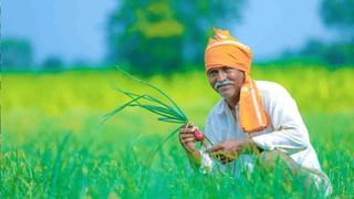 PM Kisan Yojna: প্রধানমন্ত্রী কৃষক সম্মাননিধি প্রকল্পে কীভাবে নথিভুক্ত করবেন নিজের নাম? জেনে নিন