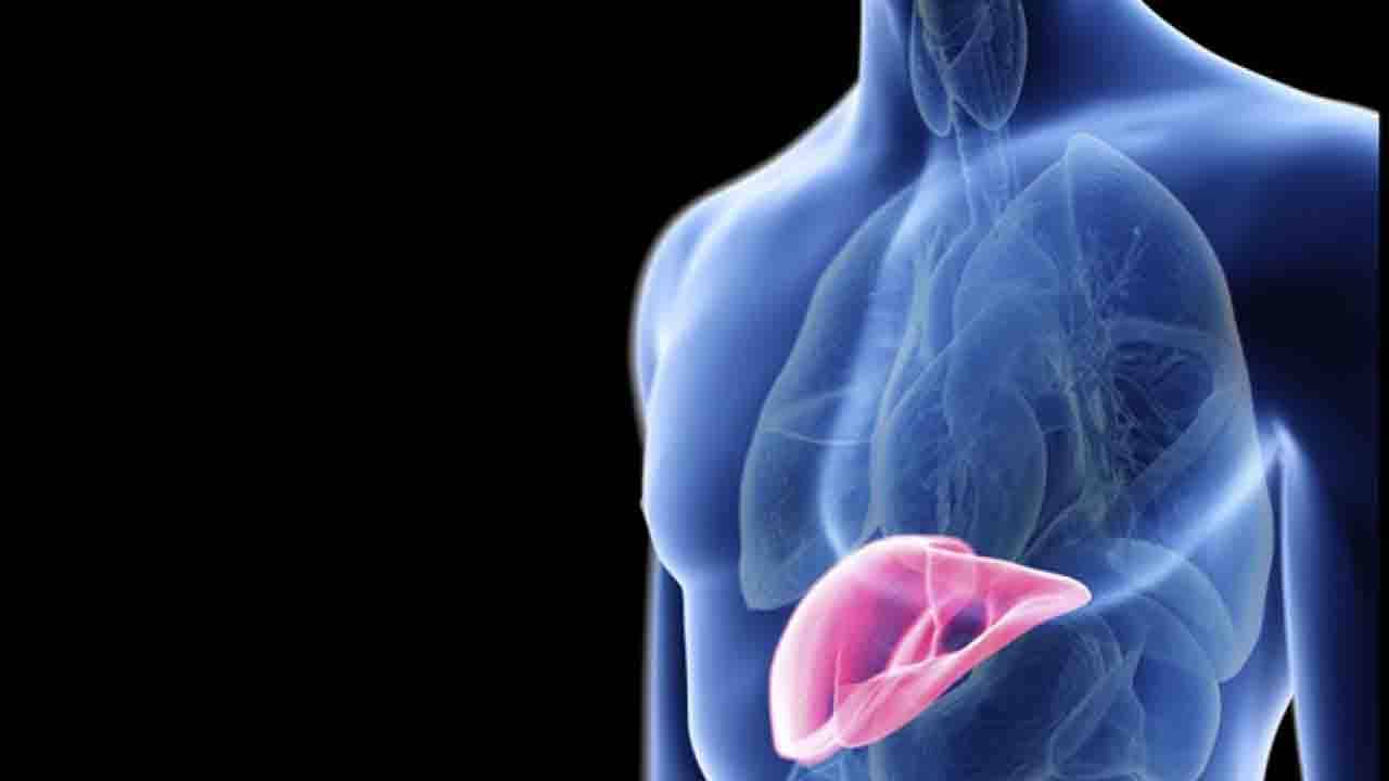 Fatty Liver: অস্বাস্থ্যকর জীবনধারা লিভারের সমস্যা বাড়িয়ে তুলছে? মেনে চলুন সহজ কয়েকটি টিপস