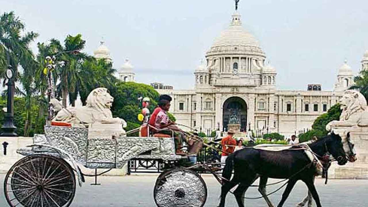 Victoria Horse Cart Service ময়দানে ঘোড়ায় টানা গাড়ি বন্ধের দাবিতে