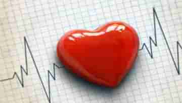 Heart Attacks: কম বয়সিদের মধ্যে হার্ট অ্যাটাকের প্রবণতা বাড়ছে! সুস্থ থাকতে আজ থেকেই এই বাজে অভ্যেসগুলি এড়িয়ে চলুন