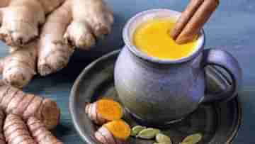 Immunity Booster: রোজ সকালে এই পানীয়, করোনাকালে রোগ প্রতিরোধ ক্ষমতা বাড়বেই!