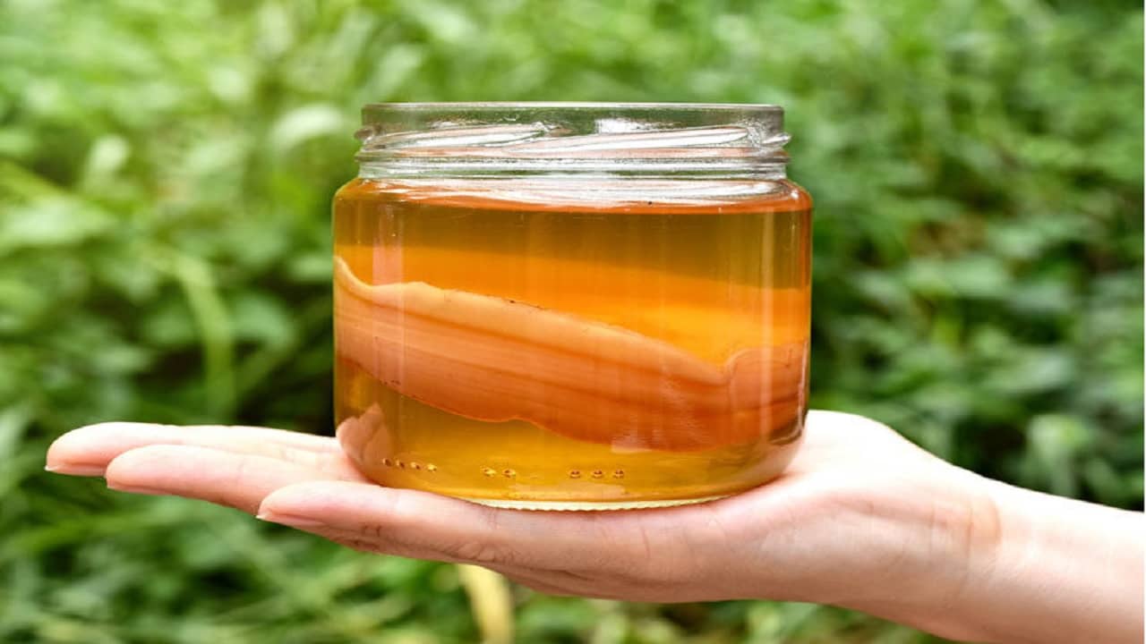 Long covid: লং কোভিডের হাত থেকে রক্ষা করবে যে ৩ খাবার...