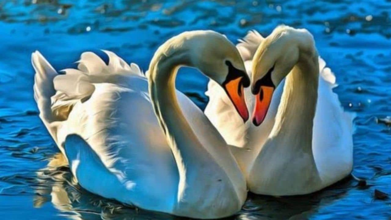 Vastu tips: বারবার প্রেমে ব্যর্থ! কিন্তু প্রেম করেই বিয়ে করতে চাইলে মানতে হবে এই তিন বাস্তুটিপস...