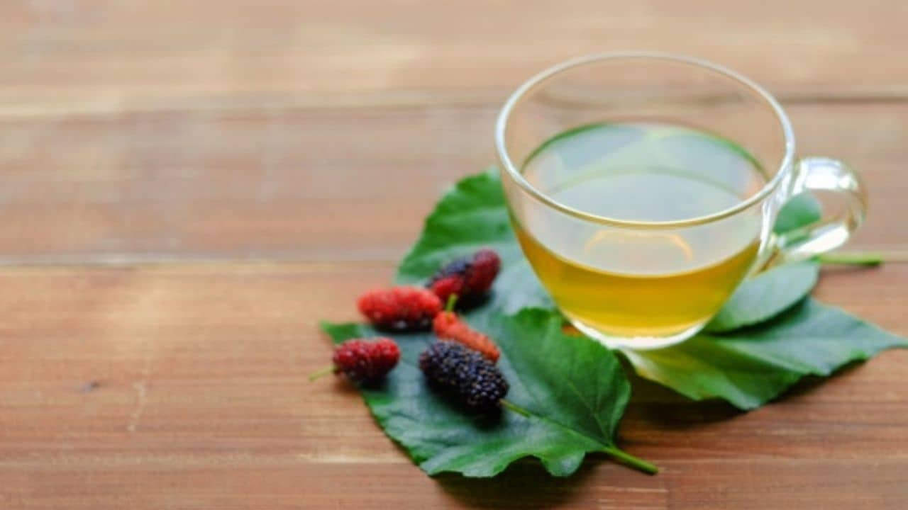 Diabetes: মাত্র ৯০ মিনিটেই কেল্লাফতে! এই মির‍্যাকল চা পান করলেই হ্রাস পাবে রক্তে শর্করার মাত্রা