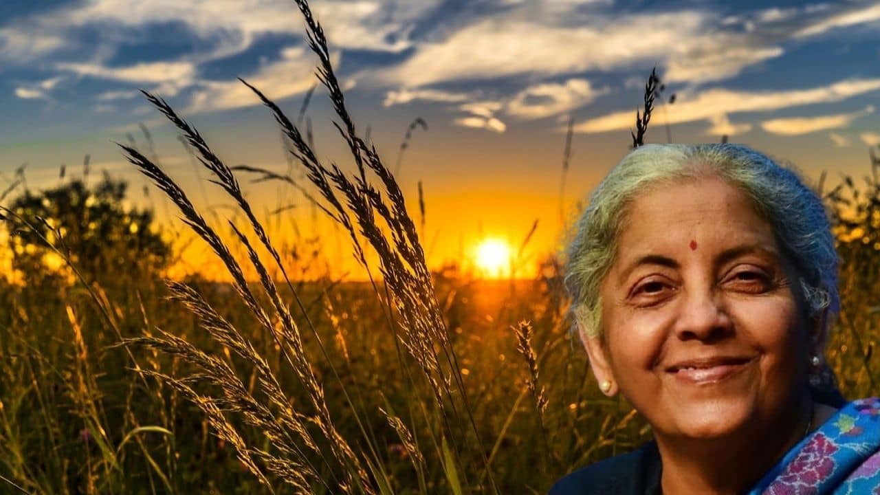 Budget 2022: কৃষকদের আয় দ্বিগুণ করার শেষ সুযোগ এটাই, নির্মলার বাজেটে নজরে থাকবে কী কী?