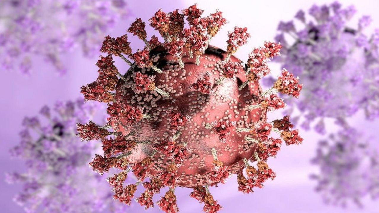 Coronavirus: ওমিক্রনের মৃদু সংক্রমণ হলেও কিন্তু থেকে যাচ্ছে দীর্ঘ রোগভোগের সম্ভাবনা! যা জানবেন...