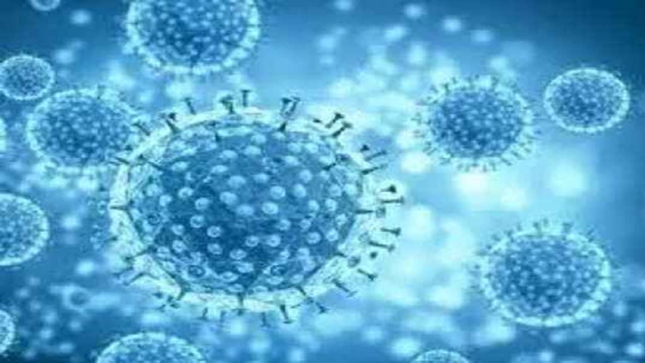 Corona New Variant IHU: ওমিক্রনের থেকেও বেশি সংক্রমক IHU, করোনা নতুন ভ্যারিয়েন্টের খোঁজ! কী বলছেন বিশেষজ্ঞরা?