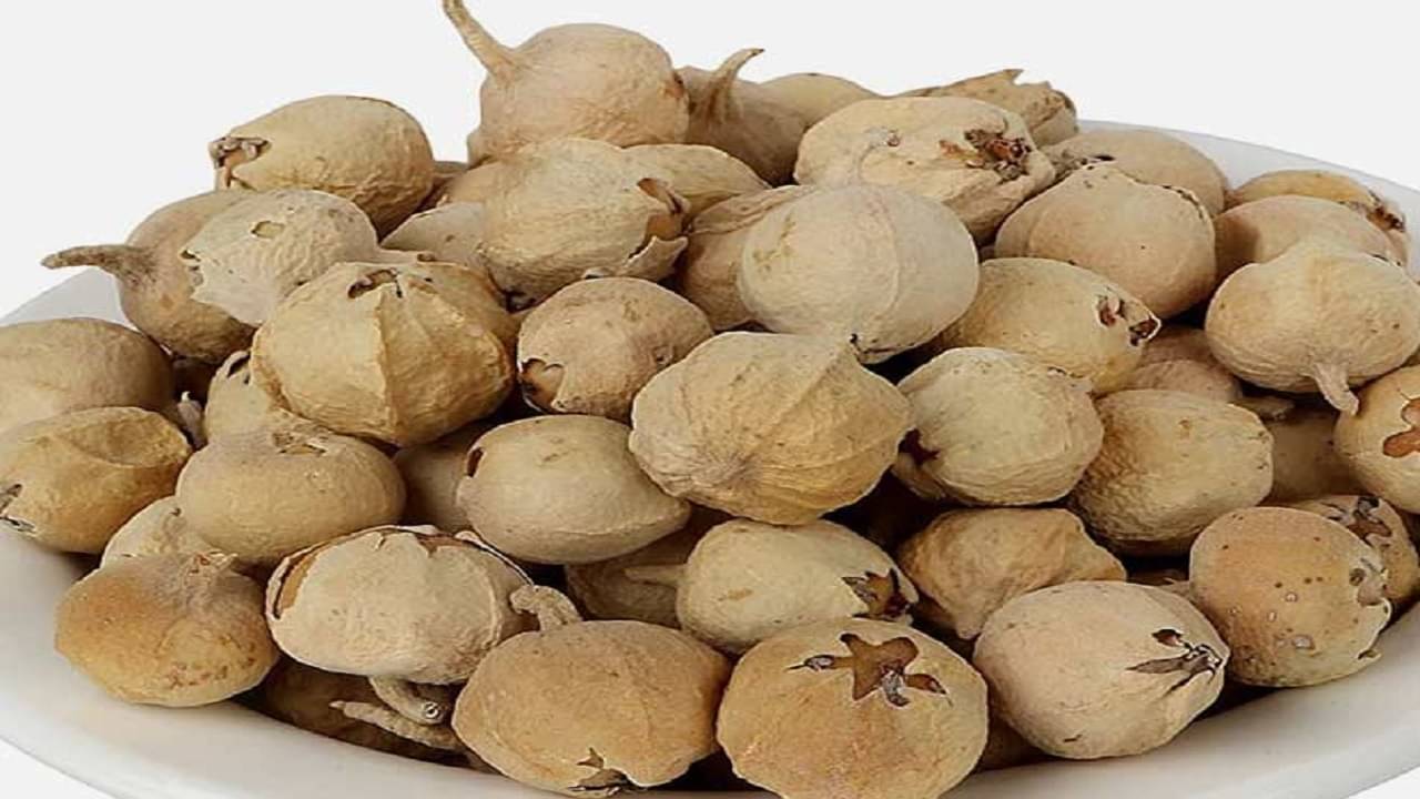 Diabetes: প্রাচীন আর্য়ুবেদ শাস্ত্রে ব্যবহৃত এই পনির ফলের নির্যাসেই ডায়াবিটিস থাকে নিয়ন্ত্রণে! বলছেন বিশেষজ্ঞরা