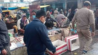 Tourist in Purulia: বড়দিনেই ধরানো হচ্ছে সরস্বতী পুজোর চাঁদার রসিদ! পর্যটকদের গাড়ি আটকে টাকা আদায়