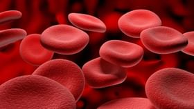 Hemoglobin: ঘরোয়া এই টোটকাতেই বাড়বে হিমোগ্লোবিন, বলছেন বিশেষজ্ঞরা... Hemoglobin: ঘরোয়া এই টোটকাতেই বাড়বে হিমোগ্লোবিন, বলছেন বিশেষজ্ঞরা...