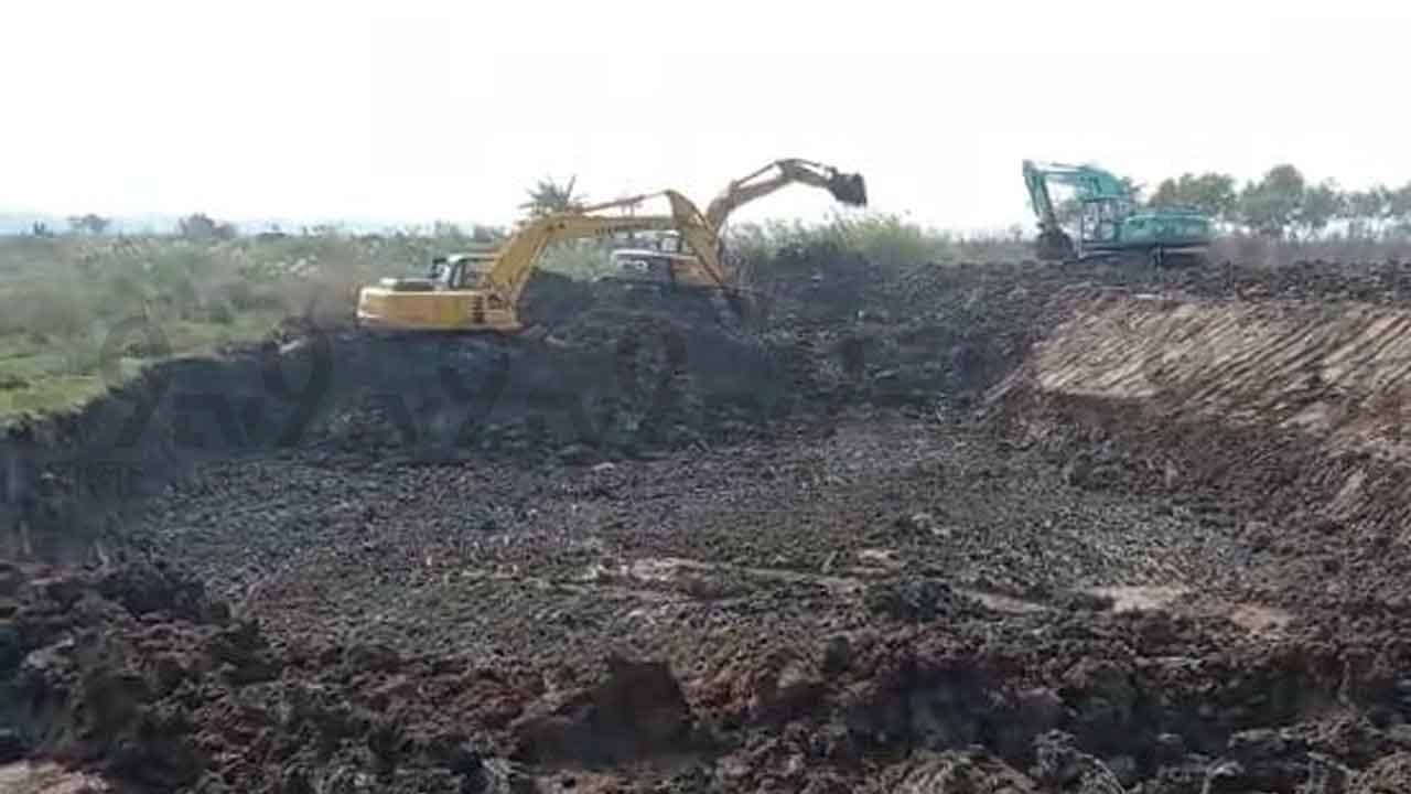 Singur Controversy: সিঙ্গুরের প্রস্তাবিত কারখানার জমিতে মাছ চাষ! সর্ষে ছড়িয়ে এখন ভূত বের হল, কটাক্ষ দিলীপের