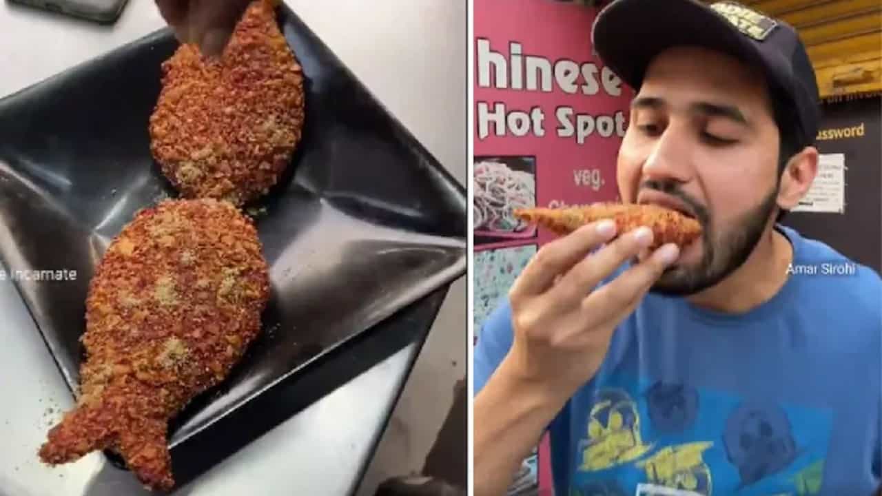 Viral Video: দিল্লির এই ফুড জয়েন্টে তৈরি হচ্ছে নিরামিষ মাছ ভাজা! ভিডিয়ো প্রকাশ পেতেই তুমুল ভাইরাল Viral Video: দিল্লির এই ফুড জয়েন্টে তৈরি হচ্ছে নিরামিষ মাছ ভাজা! ভিডিয়ো প্রকাশ পেতেই তুমুল ভাইরাল
