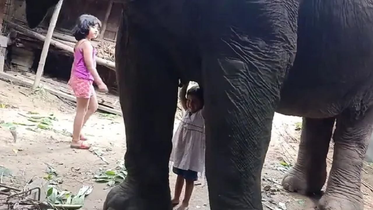 Viral Video: মায়েরা এমনই, হস্তির দুগ্ধ পান করছে একরত্তি ! ভিডিয়ো দেখে কুর্নিশ নেটিজে়নদের