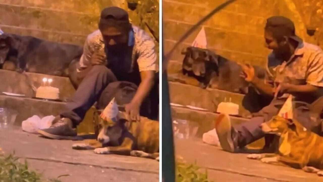 Viral Video: পথের কুকুরদের সঙ্গেই জন্মদিন পালন ঘরবাড়িহীন যুবকের, ভিডিয়ো দেখে আবেগে ভাসলেন নেটিজ়েনরা