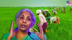 Budget 2022 : ভোটবাক্সের 'লক্ষ্মী' কৃষক, অন্নদাতাদের অন্ন যোগাতে কোন পদক্ষেপ করবে কেন্দ্র?