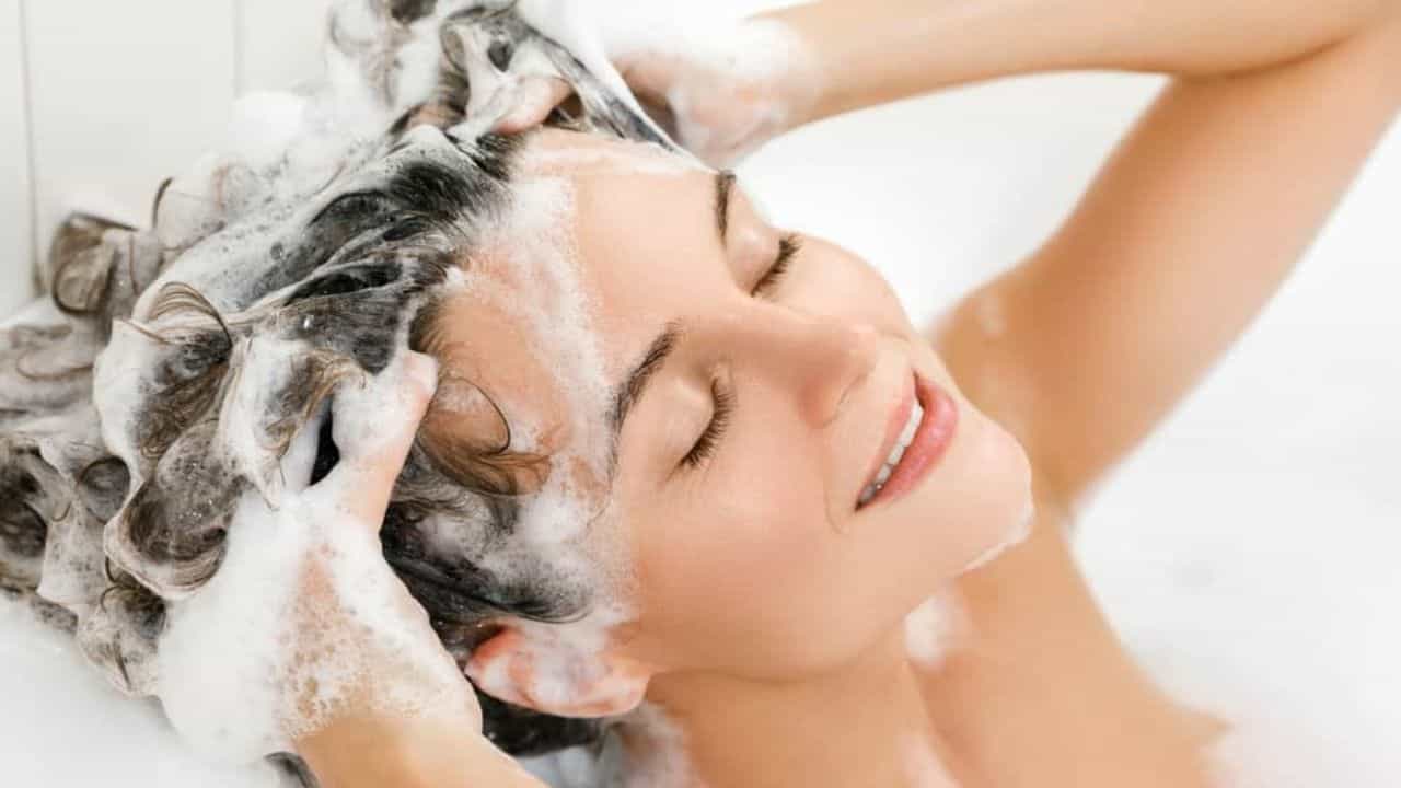 Shampoo: খুশকি-চুলকানিতে নাজেহাল! রোজ শ্যাম্পুর জন্য কোন কোন উপকরণ মাস্ট, দেখে নিন Shampoo: খুশকি-চুলকানিতে নাজেহাল! রোজ শ্যাম্পুর জন্য কোন কোন উপকরণ মাস্ট, দেখে নিন
