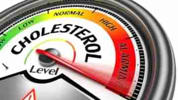 High Cholesterol: কোলেস্টেরল কমানোর ক্ষেত্রে এই একটা জিনিসের ভূমিকা অসাধারণ, পাবেন আপনার রান্নাঘরেই...