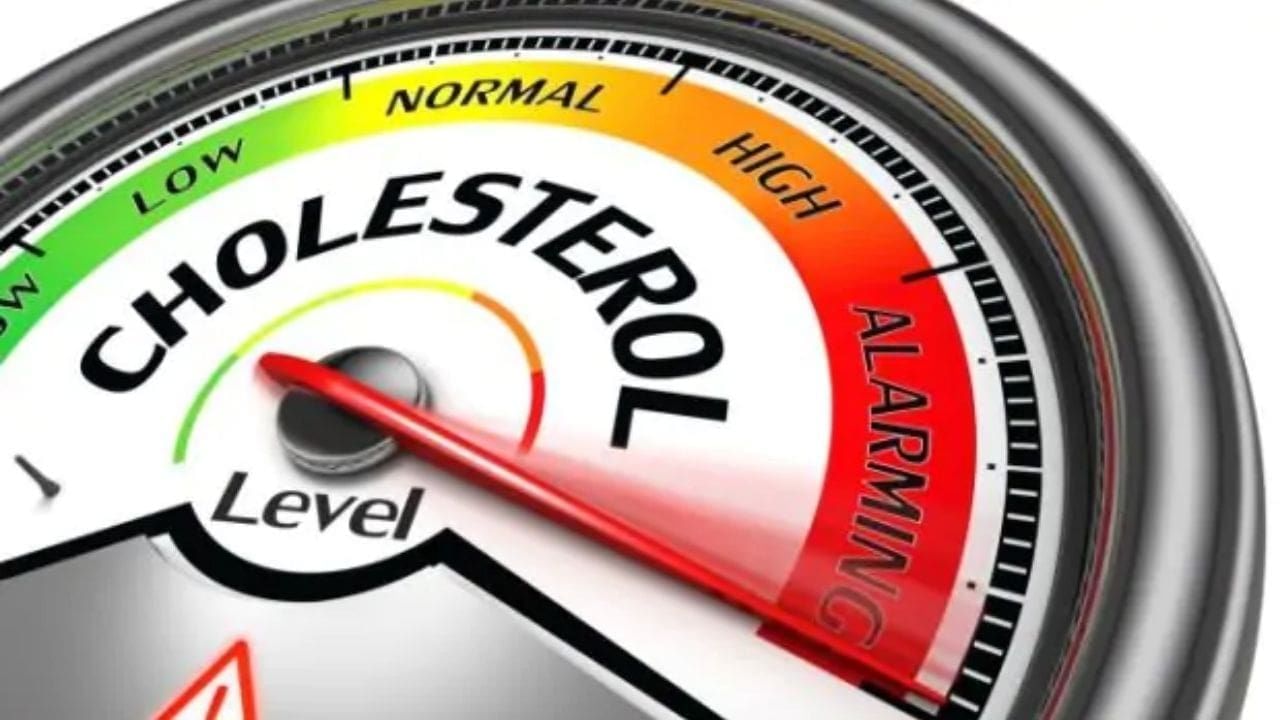 High Cholesterol: কোলেস্টেরল কমানোর ক্ষেত্রে এই একটা জিনিসের ভূমিকা অসাধারণ, পাবেন আপনার রান্নাঘরেই...