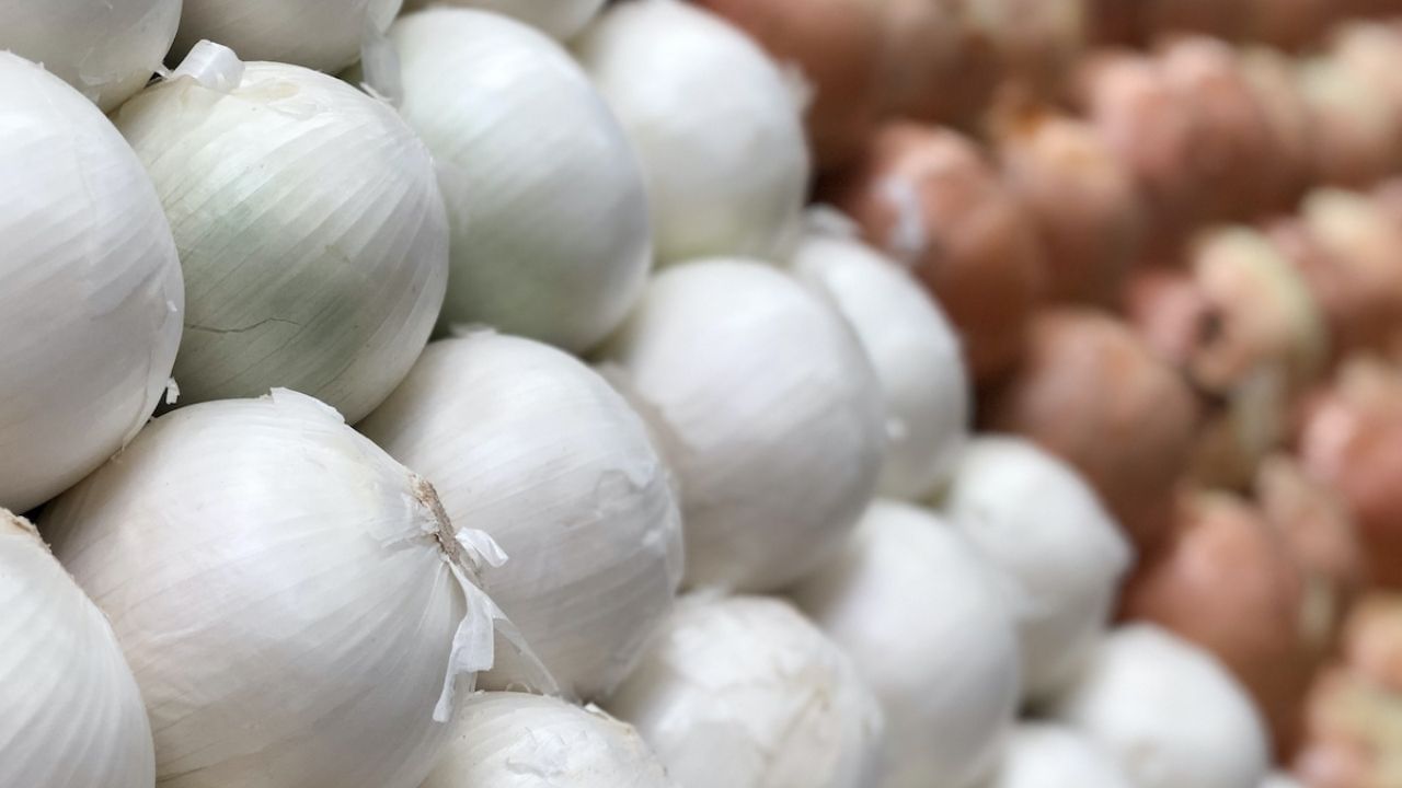 Health benefits of white onion