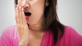 Natural Mouth Fresheners: কথা বললেই মুখ থেকে দুর্গন্ধ বের হয়? এই ৫টি প্রাকৃতিক মাউথ ফ্রেশনার ট্রাই করতে পারেন Natural Mouth Fresheners: কথা বললেই মুখ থেকে দুর্গন্ধ বের হয়? এই ৫টি প্রাকৃতিক মাউথ ফ্রেশনার ট্রাই করতে পারেন